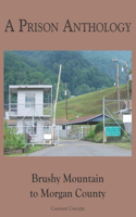 Prison Anthology: Brushy Mountain to Morgan County