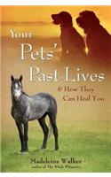 Your Pets' Past Lives: & How They Can Heal You