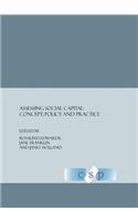 Assessing Social Capital: Concept, Policy and Practice