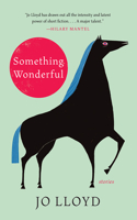 Something Wonderful