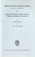 Der Holz-Flohkrebs Chelura Terebrans Philippi (Amphipoda, Cheluridae)