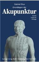 Grundlagen der Akupunktur