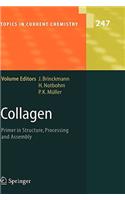 Collagen