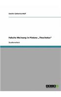 Falsche Meinung in Platons 
