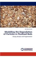 Modelling the Degradation of Particles in Fluidised Beds