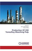 Production Of 200 Tones/Day Bleaching Pulp