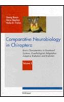 Comparative Neurobiology in Chiroptera