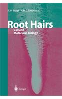 Root Hairs