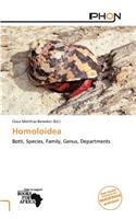 Homoloidea: (English)