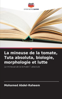 La mineuse de la tomate, Tuta absoluta, biologie, morphologie et lutte