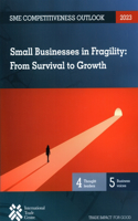 SME Competitiveness Outlook 2023: Small Businesses in Fragility: from Survival to Growth(SME Competitiveness Outlook)