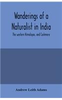 Wanderings of a naturalist in India