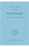 Doing Phenomenology