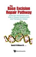 Base Excision Repair Pathway, The: Molecular Mechanisms and Role in Disease Development and Therapeutic Design