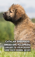 Catalan Sheepdog Breed Encyclopedia