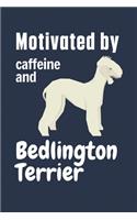 Motivated by caffeine and Bedlington Terrier