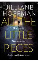 All the Little Pieces