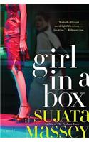 Girl in a Box: (9 Severn House Large Print)