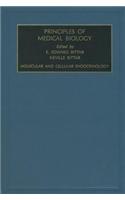 Molecular and Cell Endocrinology: (10 Principles of Medical Biology)