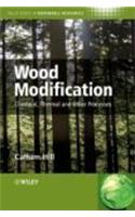 Wood Modification