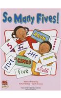 Big Math for Little Kids Kindergarten Classbook Book 1 So Many Five's 2003c