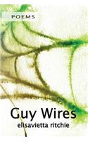 Guy Wires