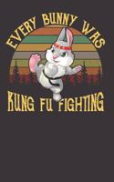 Every Bunny Was Kung Fu Fighting