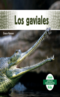 Los Gaviales (Gavials): (Animales Espeluznantes (Spooky Animals))