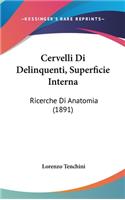 Cervelli Di Delinquenti, Superficie Interna