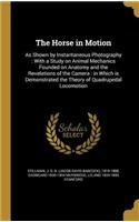 The Horse in Motion