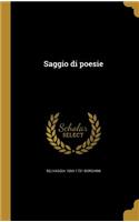 Saggio di poesie