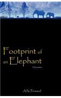 Footprint of an Elephant