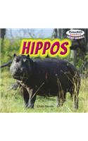 Hippos