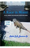 Race in Miami - Large Print