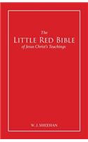 Little Red Bible of Jesus Christ's Teachings - The Words in Red