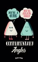 My Complimentary Angles Calendar: Cute and Funny Calendar, Diary or Journal Gift for Geometry or Maths and Mathematics Teachers, Professors and Students who love Complementary Angles