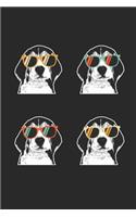 Beagle Notebook - Retro Beagle With Sunglasses Journal - Beagle Diary