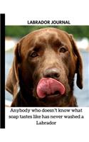 Labrador Journal