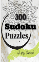 300 Sudoku Puzzle
