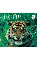 Tigers (Worldlife Library Special)