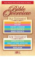 Bible Overview (pack of 5)