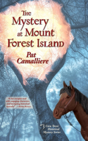 Mystery at Mount Forest Island