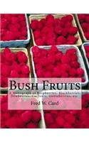 Bush Fruits