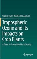 Tropospheric Ozone and Its Impacts on Crop Plants