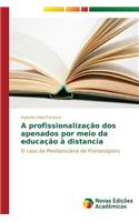 A profissionalização dos apenados por meio da educação à distancia