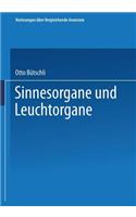 Sinnesorgane und Leuchtorgane