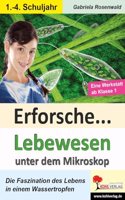 Erforsche ... Lebewesen unter dem Mikroskop: Eine Werkstatt ab dem 1. Schuljahr