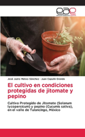 El cultivo en condiciones protegidas de jitomate y pepino
