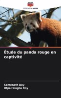 Étude du panda rouge en captivité