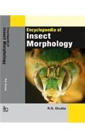 Encyclopaedia Of Insect Morphology